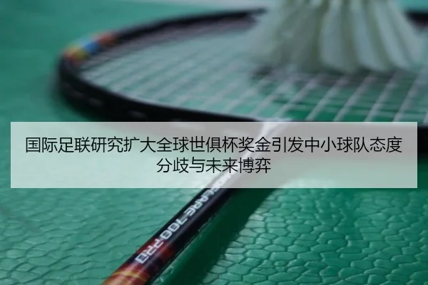 国际足联研究扩大全球世俱杯奖金引发中小球队态度分歧与未来博弈